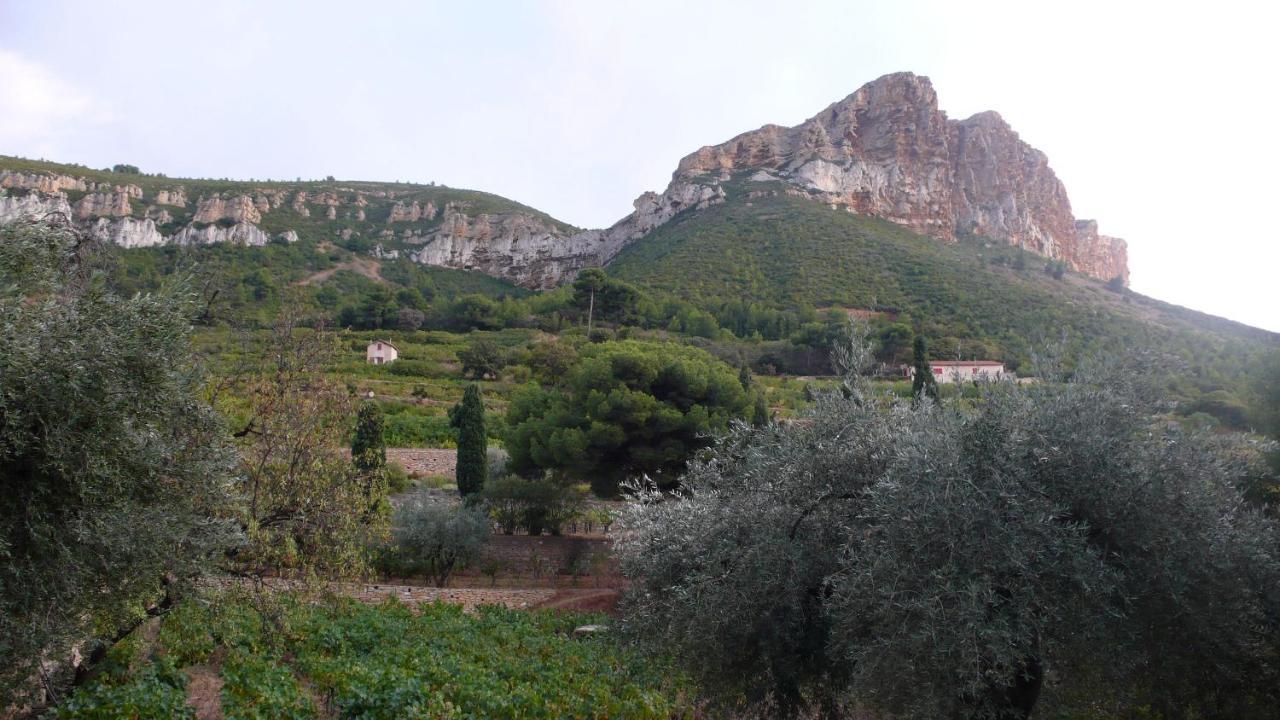 Chez Mamouska Bed and Breakfast Κασί Εξωτερικό φωτογραφία